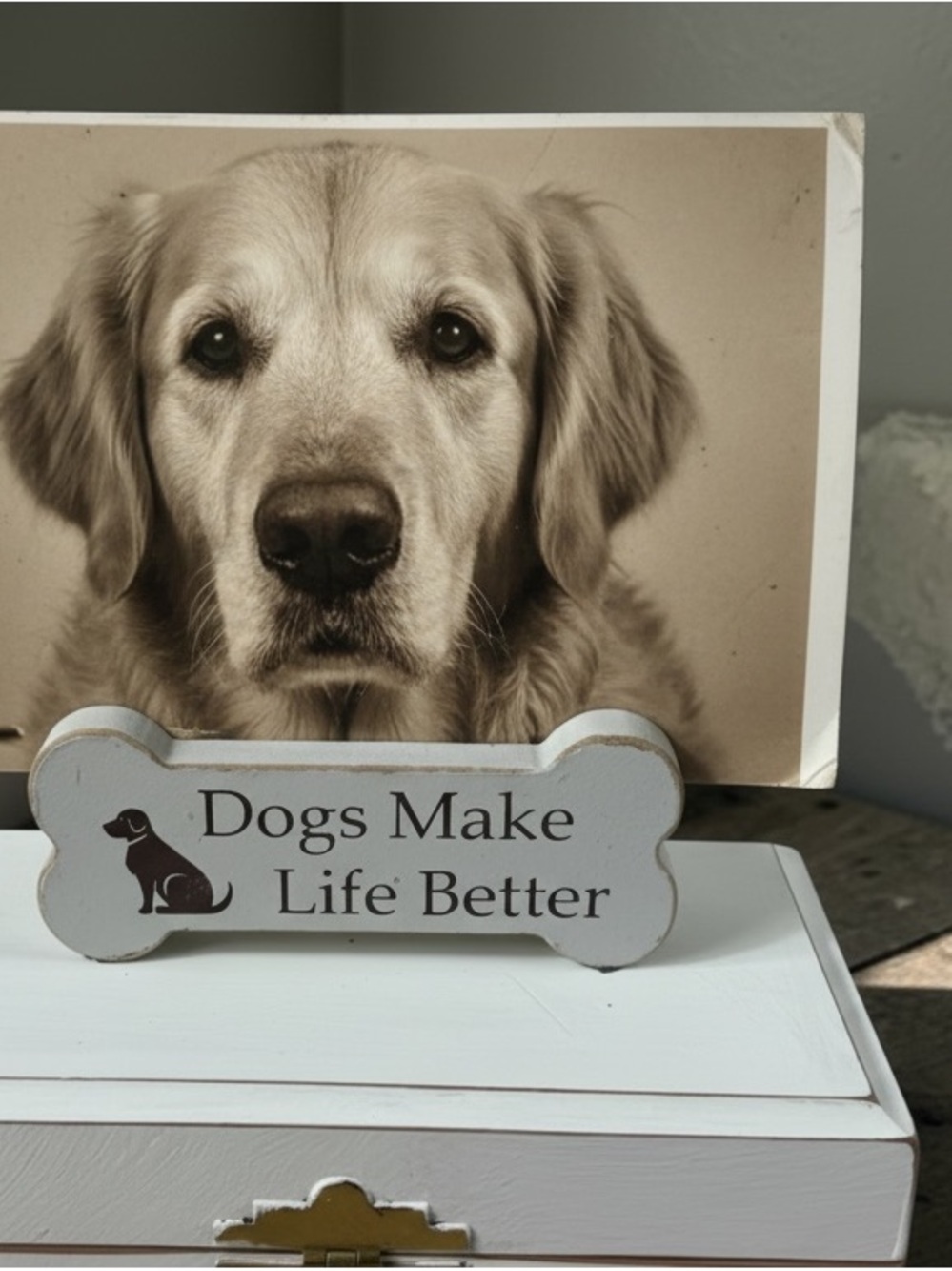 Wooden pet box forDogs  ashes,Make Life Better' Bone Sign .